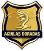 里奥内格罗老鹰
