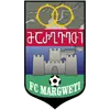 马格维特2006